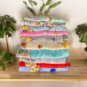 Pack x2 manta plush estampada bebe