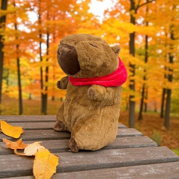Peluche Capibara con manta plush dentro - Image 10