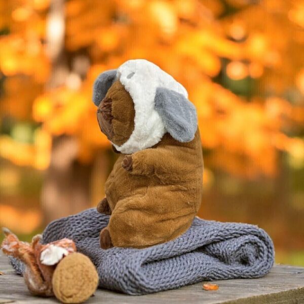 Peluche Capibara con manta plush dentro - Image 6