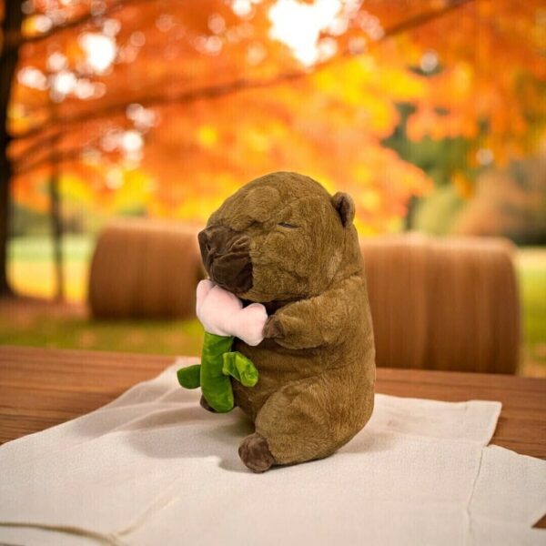 Peluche Capibara con manta plush dentro - Image 3