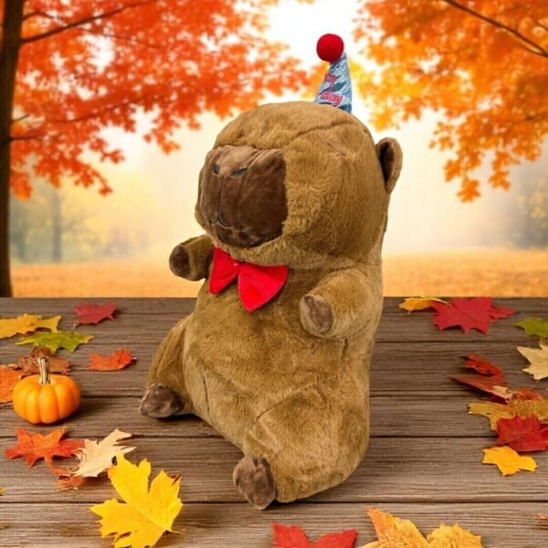 Peluche Capibara con manta plush dentro - Image 11